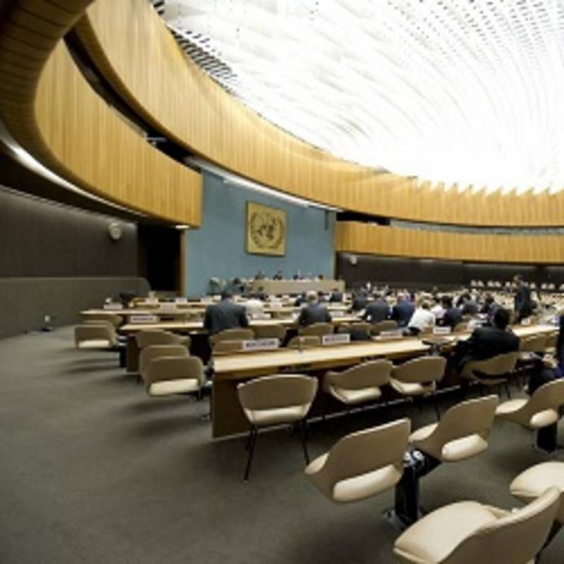 Open-ended Working Group in der UNO, Genf, 2013. Foto: Violaine Martin / UN