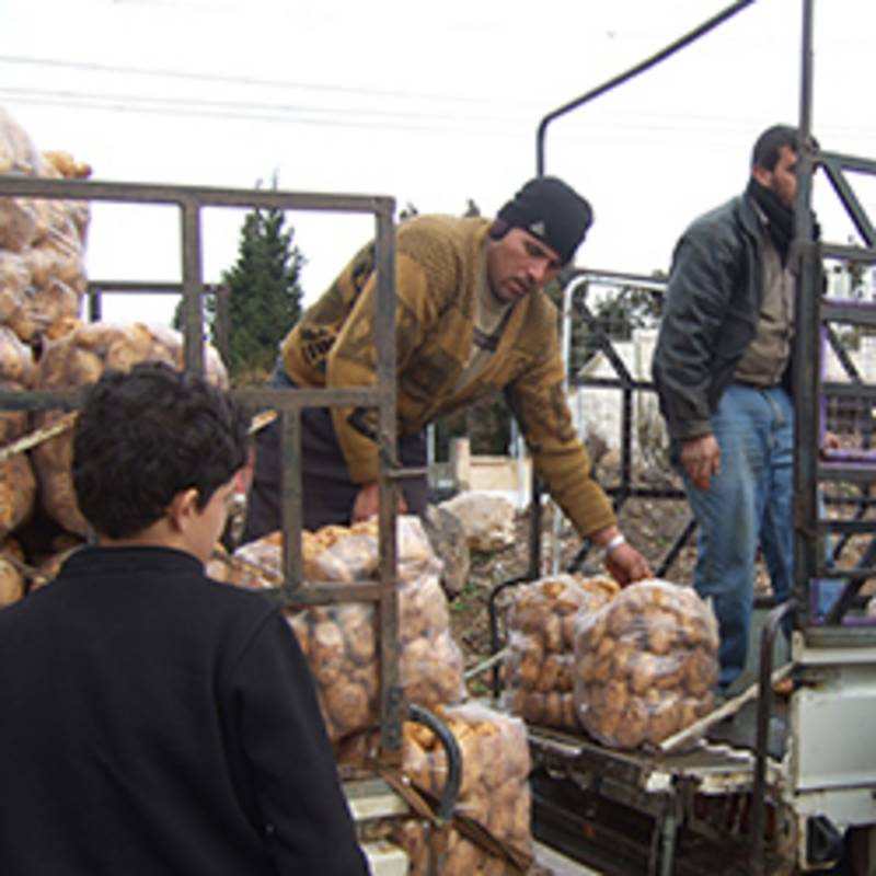 Umladen von Kartoffeln für Homs/Al Waer, Januar 2016, Foto: Karin Leukefeld
